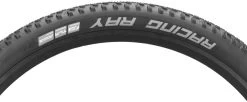 Schwalbe Racing Ray Performance ADDIX 29" Folding Tyre -bicycle 244169