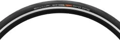 Schwalbe Pro One Evolution MicroSkin Tubeless Easy 20" Folding Tyre -bicycle 283846