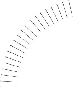 Dt-swiss Aerolite® Straight Pull 2.0 / 2.3 / 0.9 Spokes - 20 Pcs.