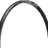 Dt-swiss M 442 Disc 29" Rim