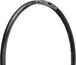 Dt-swiss M 442 Disc 29" Rim