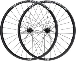Dt-swiss FR 1950 CLASSIC 30 Boost Center Lock Disc 29" Wheelset