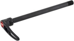 Dt-swiss RWS Plug-In X-12 MTB Thru Axle With Quick-Release Lever