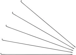 Sapim D-Light J-Bend Spokes + Nipples - 5-Pack