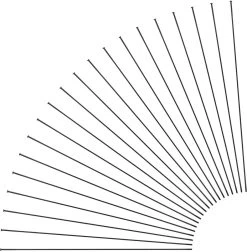 Sapim Race Straight Pull Spokes + Nipples - 20-Pack