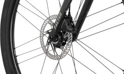 LS Carbon 28" Gravel Bike - Ekar Bc Edition -bicycle 376935