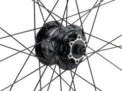 Mountain Alivio 6-Bolt Disc DT Swiss 466d 29" Wheelset 16 Mountain Alivio 6-Bolt Disc DT Swiss 466d 29" Wheelset -bicycle 399626