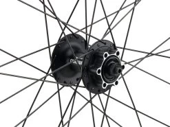 Mountain Alivio 6-Bolt Disc DT Swiss 466d 29" Wheelset 23 Mountain Alivio 6-Bolt Disc DT Swiss 466d 29" Wheelset -bicycle 399633