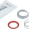 Dt-swiss EXP Freehub Maintenance Kit