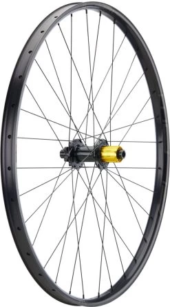 Tune Race 29 Endurance Boost 6-bolt Disc 29" Wheel