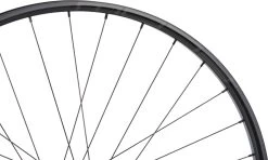 Tune Race 29 Endurance Boost 6-bolt Disc 29" Wheel -bicycle 461145